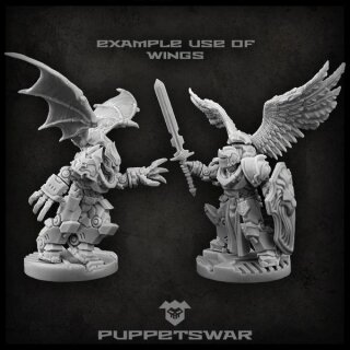 Angel Wing-Packs (5)