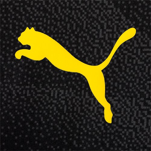 HERREN FANTRIKOT BVB PREMATCH SS JERSEY