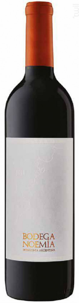 Noemia Malbec Bodega Noemia Patagonia Vin Rouge●AOC de Patagonie 2020 75cl