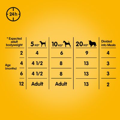 Pedigree Junior Frischebeutel Multipack