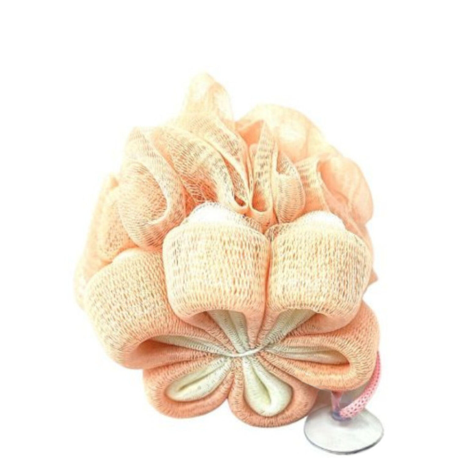 Les Petits Bains de Provence Fleur de Douche Couleur Rose 3D