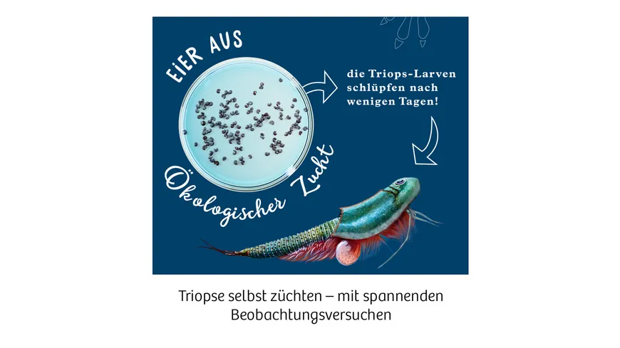 KOSMOS - Triops-Welt - Leben aus der Urzeit