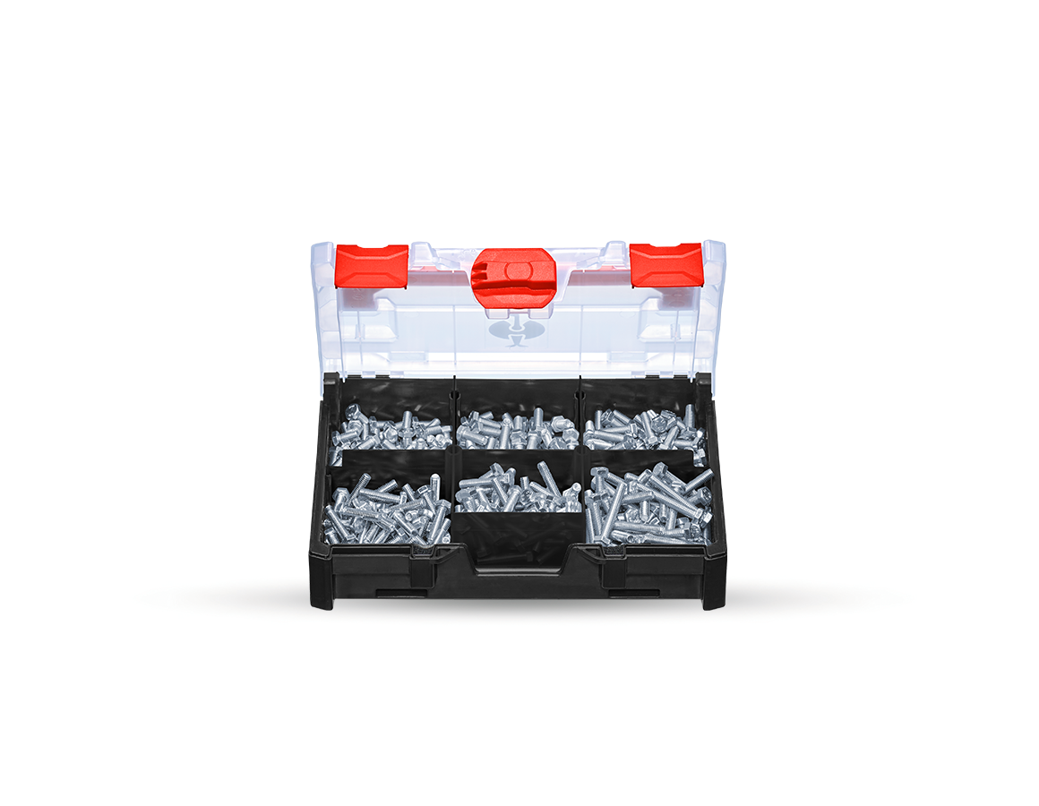 Sechskantschrauben DIN 933 M6 STRAUSSbox mini