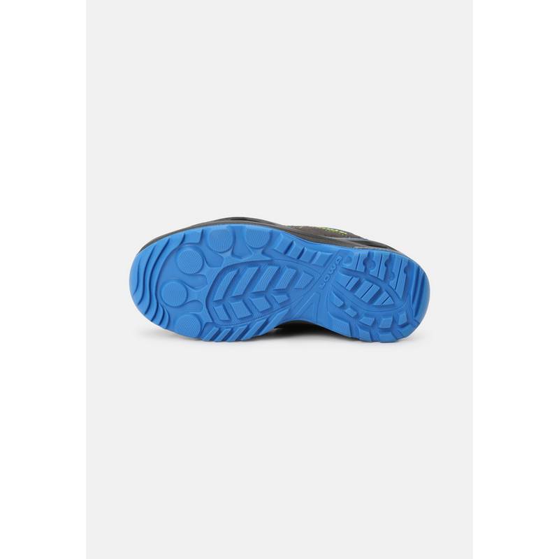 Lowa ROBIN EVO GTX LO Wanderschuhe