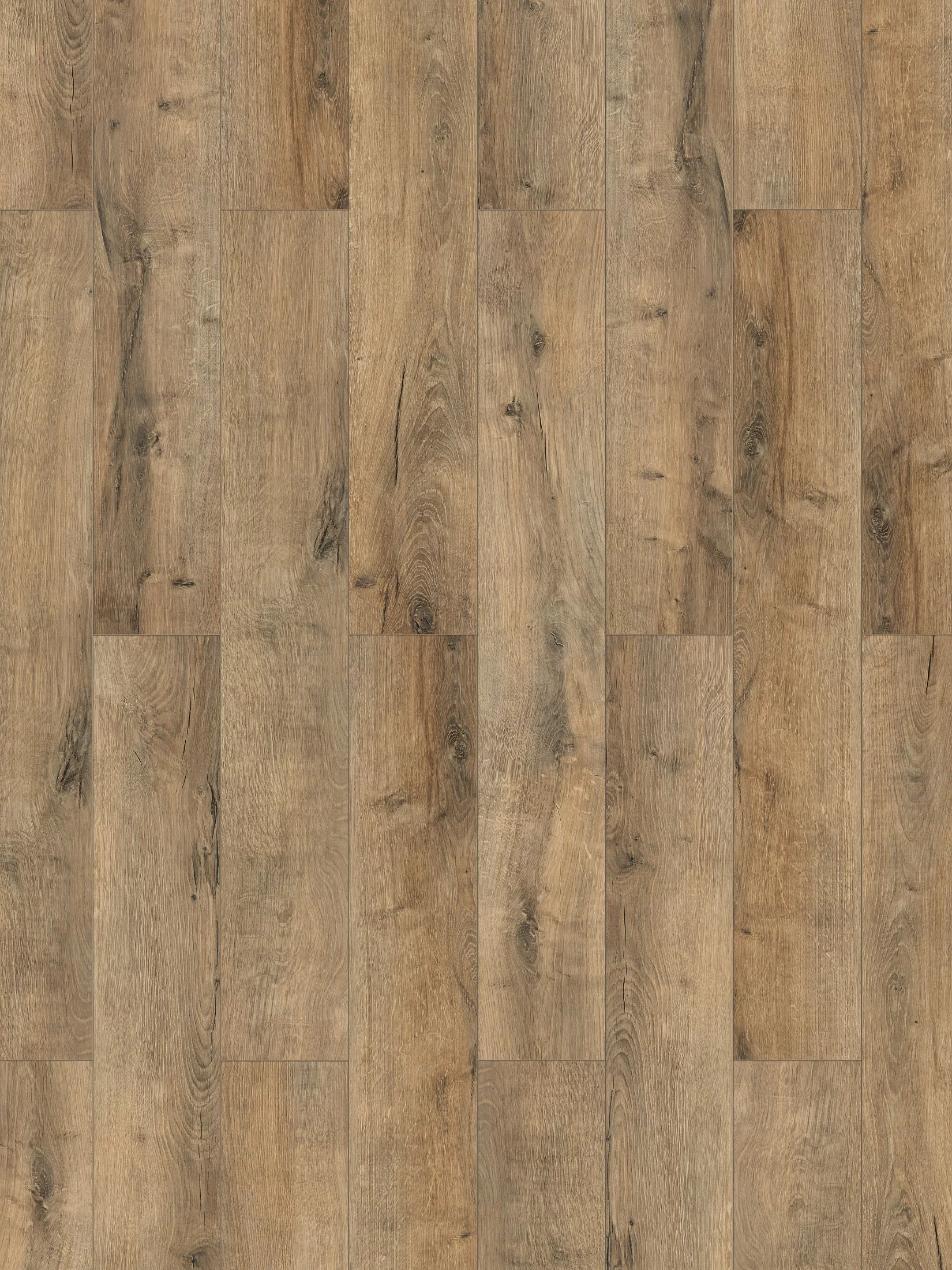 Natura Klick-Laminat, Monument Oak 65557
