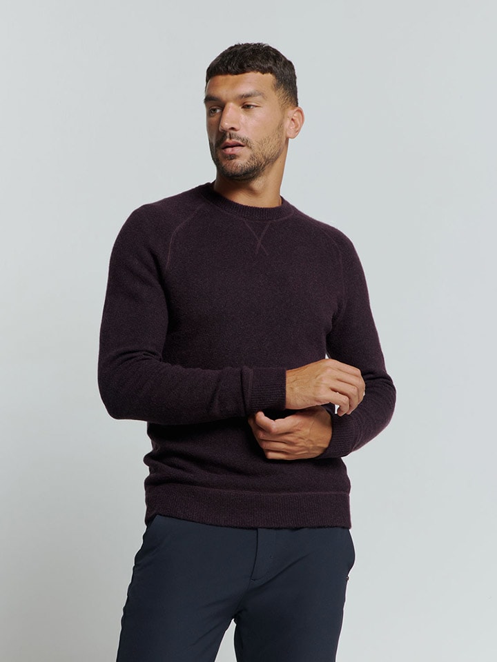 No Excess Pullover in Braun günstig kaufen