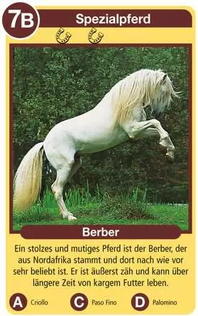 Pferde - Kartenspiel ab 4 Jahren