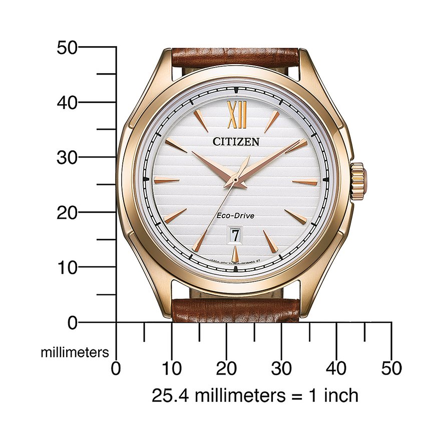 Citizen Herrenuhr Leder Eco Drive