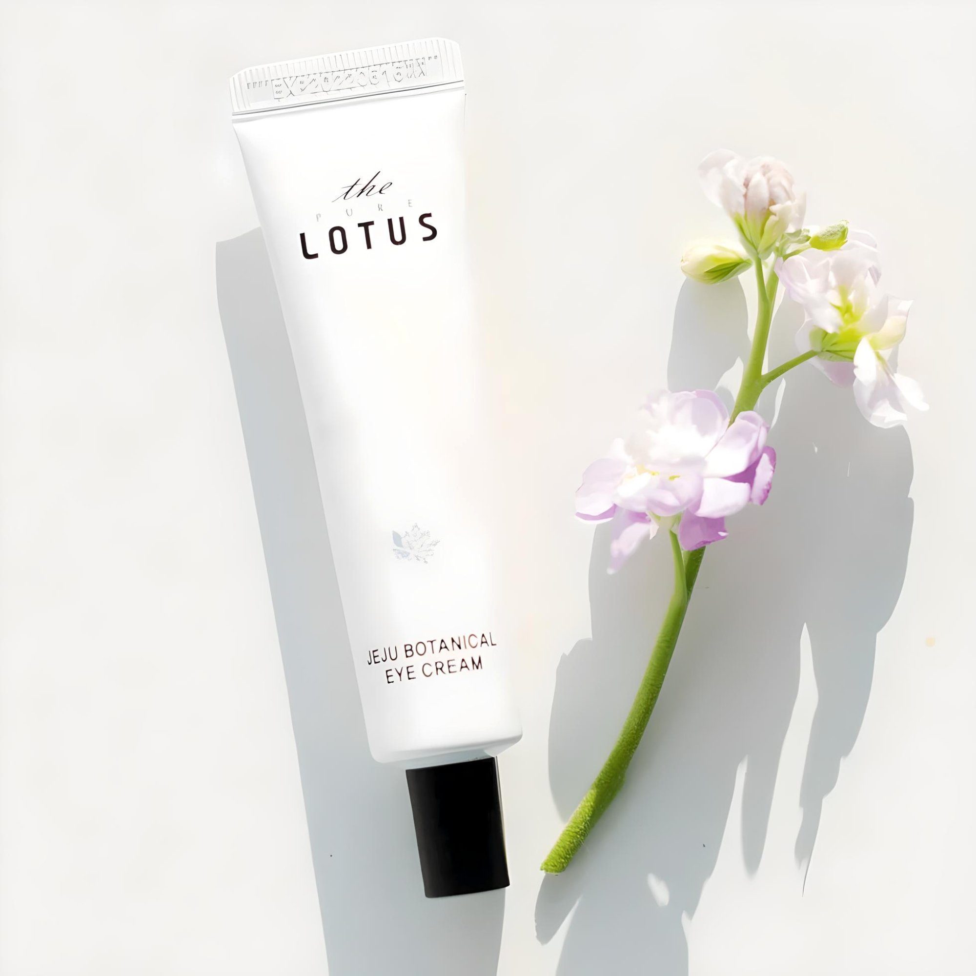 The Lotus Anti-Aging-Augencreme JEJU BOTANICAL EYE CREAM