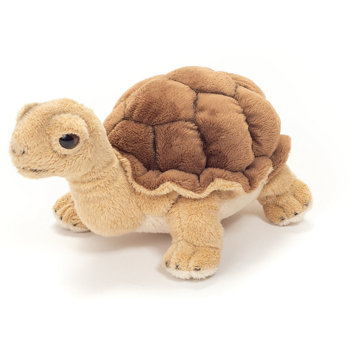Schildkröte 20 cm