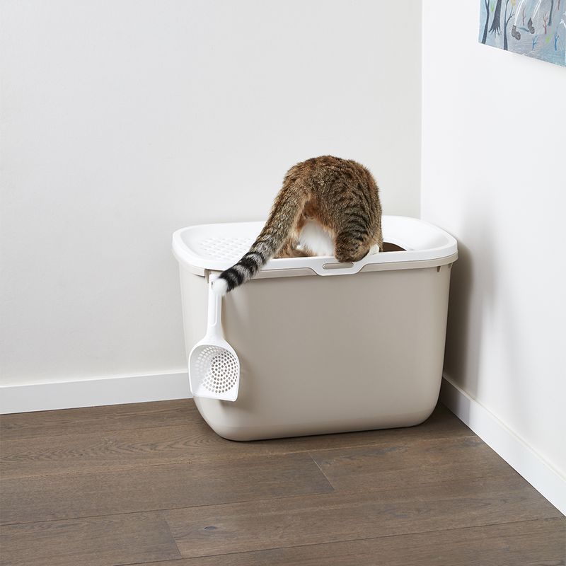 Savic Katzentoilette Hop In zu TOP-Preisen