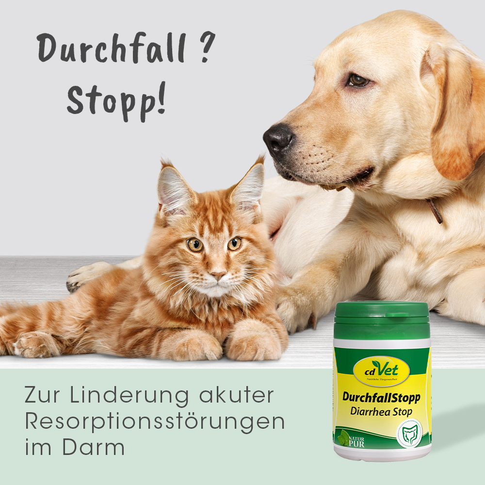 cdVet Ergänzungsfutter & Aufzucht cdVet DurchfallStopp 150 g