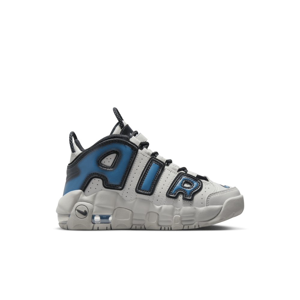 Nike Air More Uptempo FJ1389-001 / grau