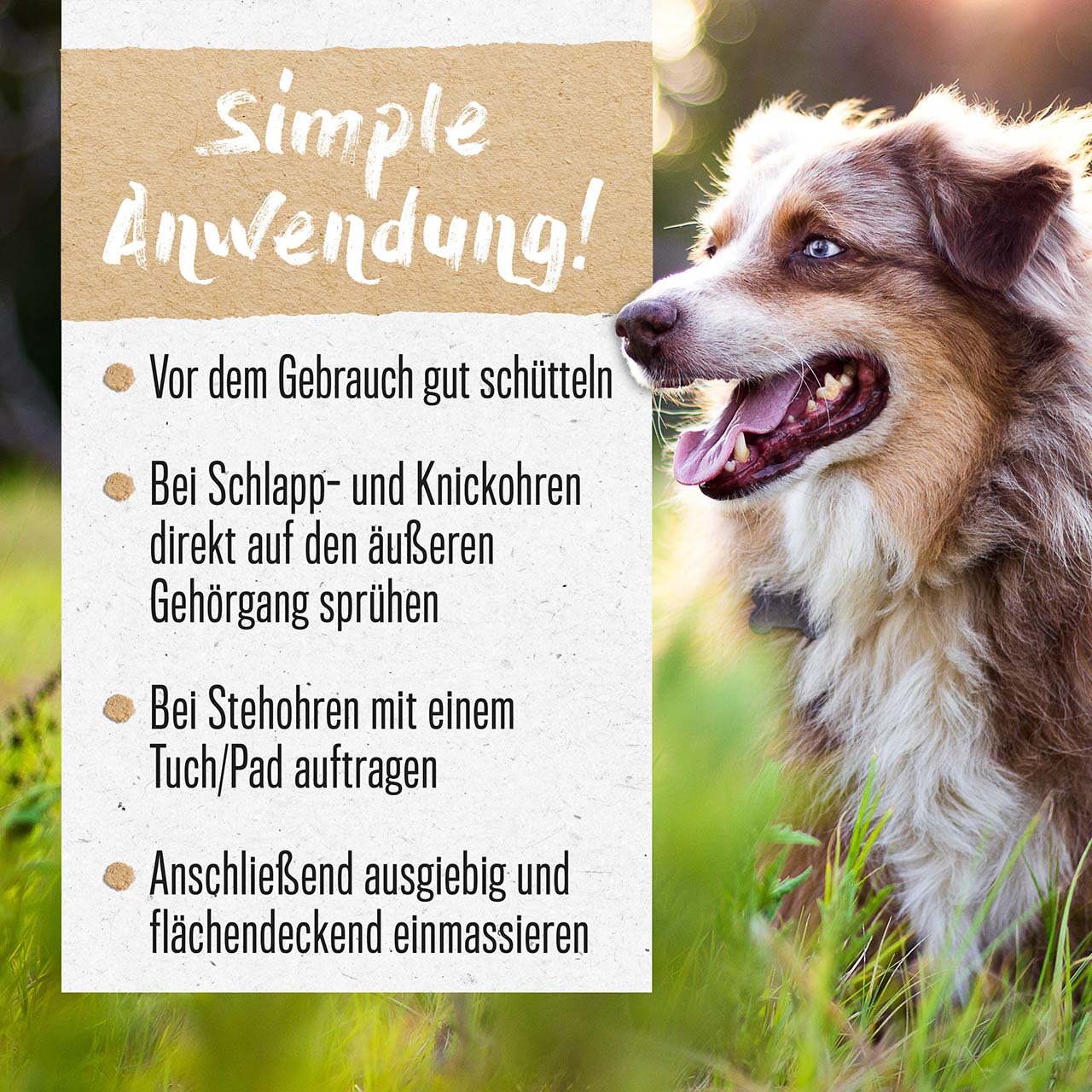 ALPHAZOO Augen- & Ohrenpflege ALPHAZOO Ohrenreiniger 200ml - Lauscher-Auf für Hunde, Katzen, Haus- und Hoftiere
