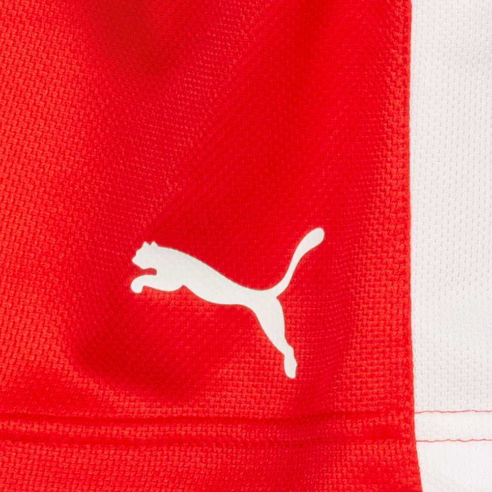 DHF Dänemark PUMA Damen Handball Shorts 750674-01