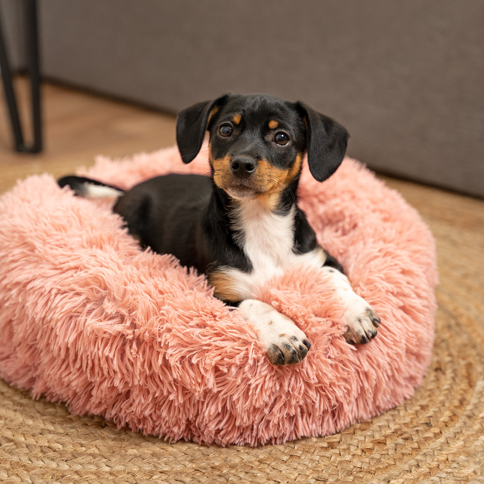 Lionto Hundebetten Lionto Donutbett rosa S