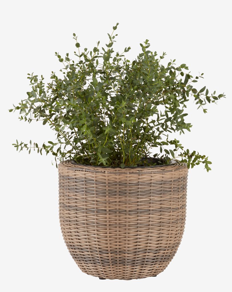 SVARTBAK SVARTBAK kurv blomsterpotte Ø42xB36 natur