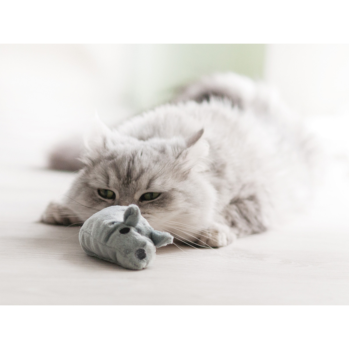 Aumüller Katzenspielkissen Baldi Maus günstig kaufen