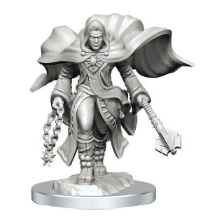 D&D Nolzur's Marvelous Miniatures: Aasimar Cleric Male (2)