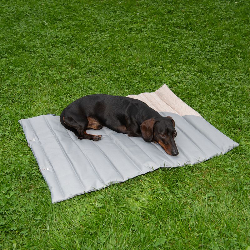 Nomad Tales Reise-Hundematte Stone zu TOP-Preisen
