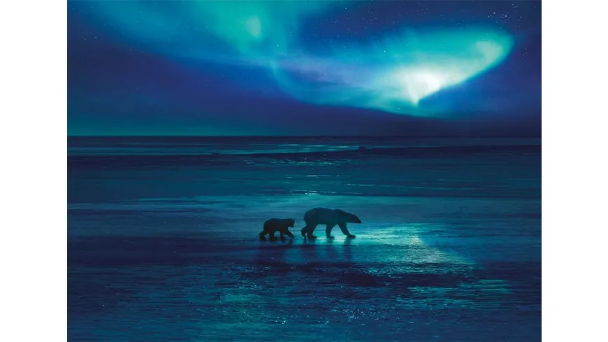 FROZEN PLANET - EISIGE WELTEN II  [2 DVDs]