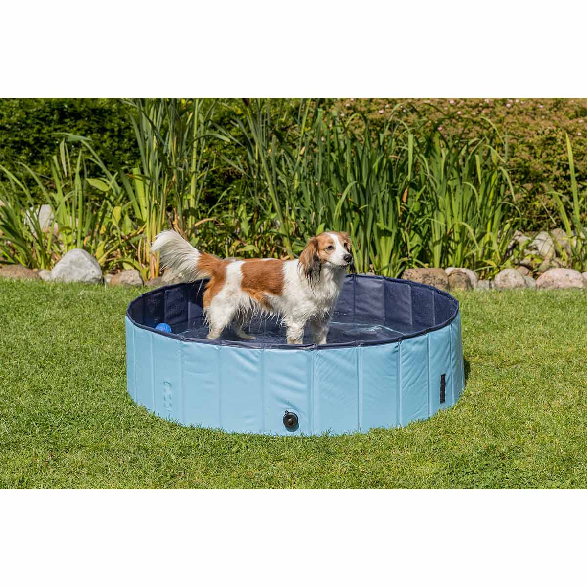 Trixie Hundepool hellblau günstig kaufen bei ZooRoyal