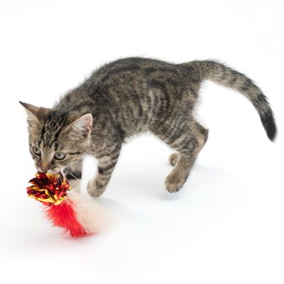 TIAKI Katzenspielzeug Knisterball mit Federn