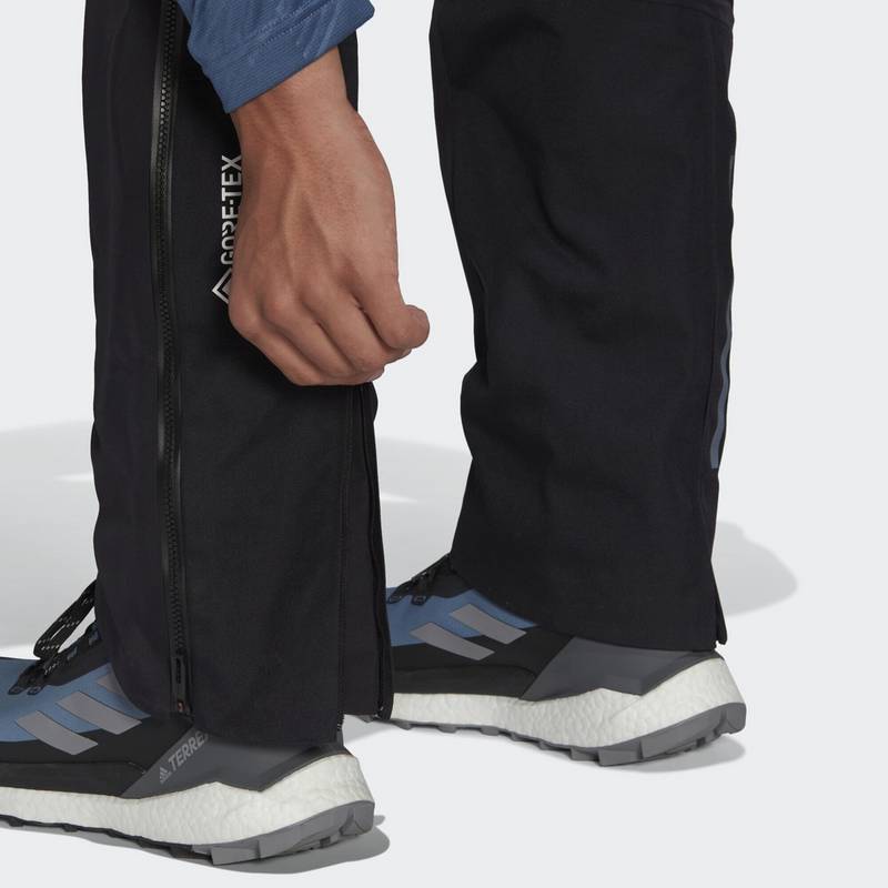 adidas TERREX Techrock GORE-TEX Pro Hose Wanderhose Herren