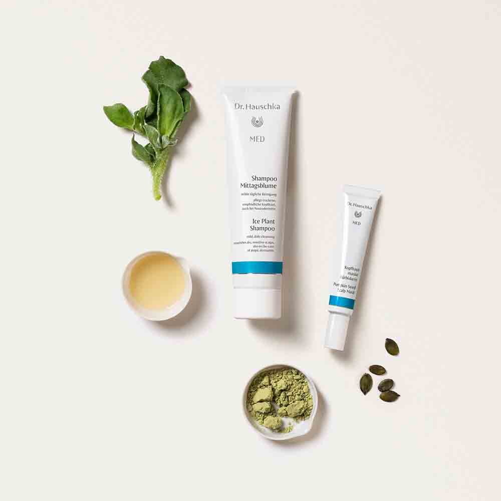 Dr. Hauschka Medizinische Pflege Shampoo Mittagsblume