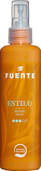 Fuente Estilo Setting Spray Föhnspray