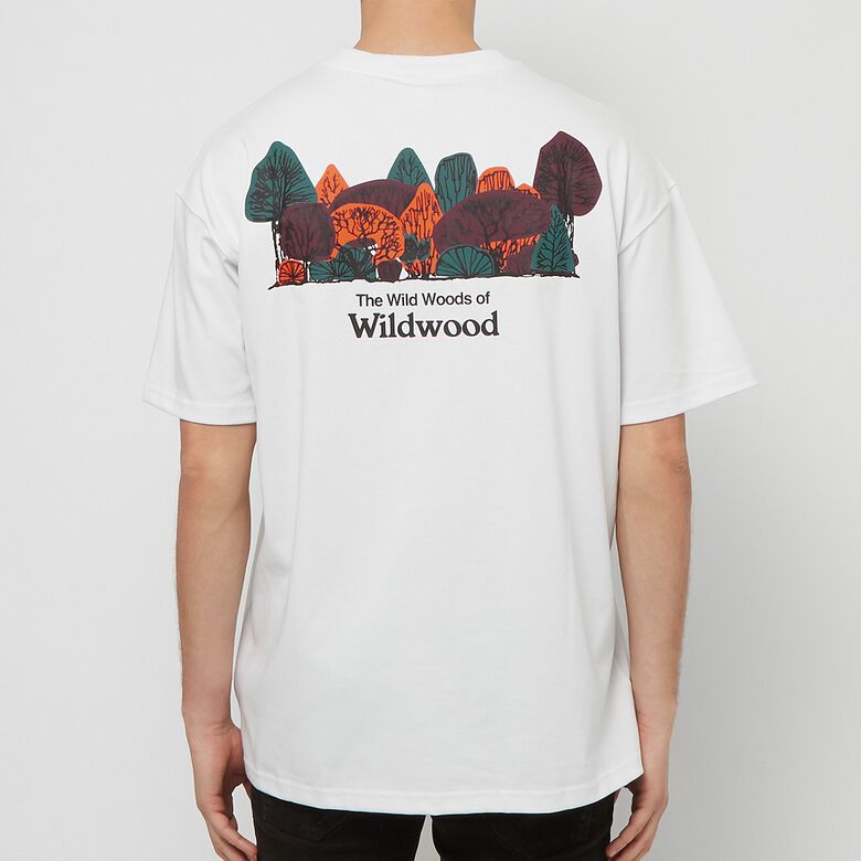 NIKE ACG Wildwood T-Shirt summit white