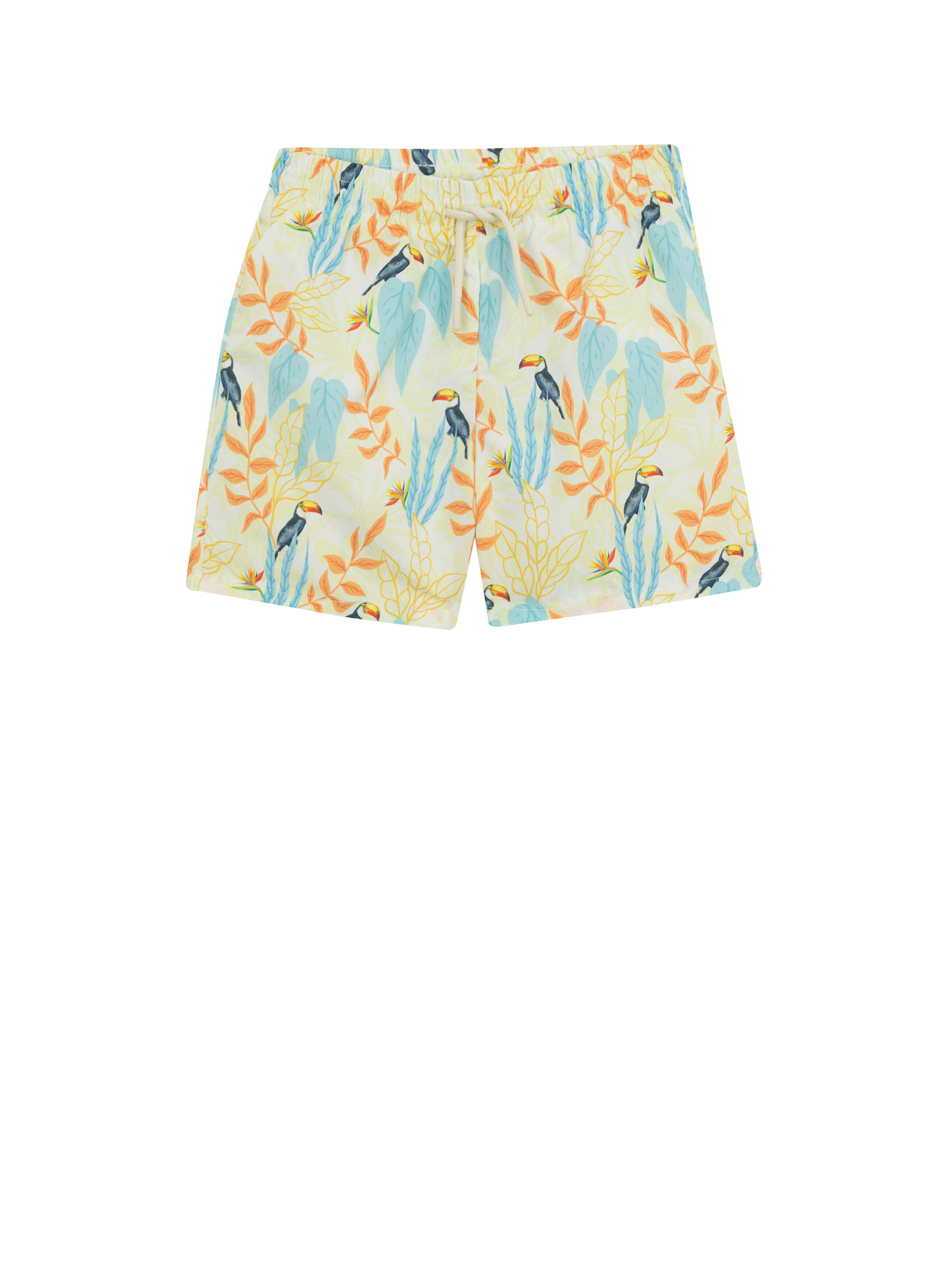 Board Shorts