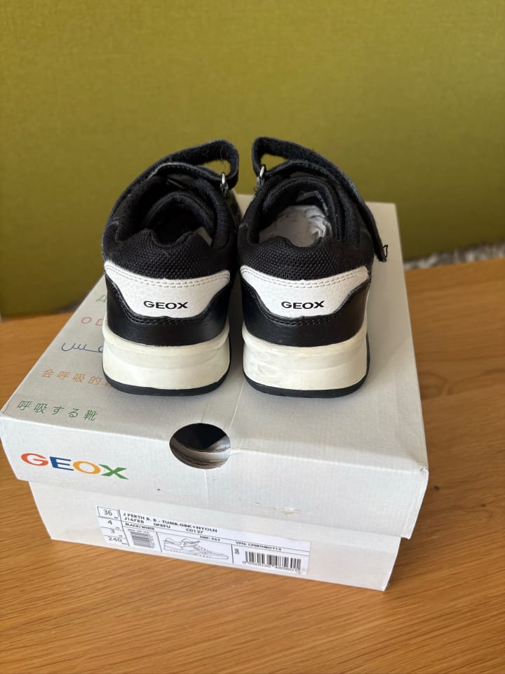 Geox Sneakers 