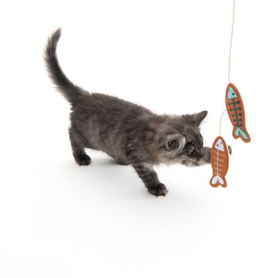 TIAKI Katzenangel Fisch mit Katzenminze