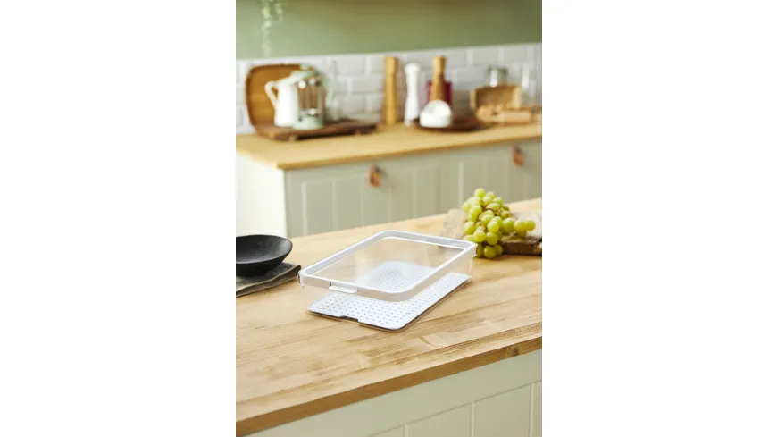 rotho Kühlschrankorganizer 2,6l Cauma