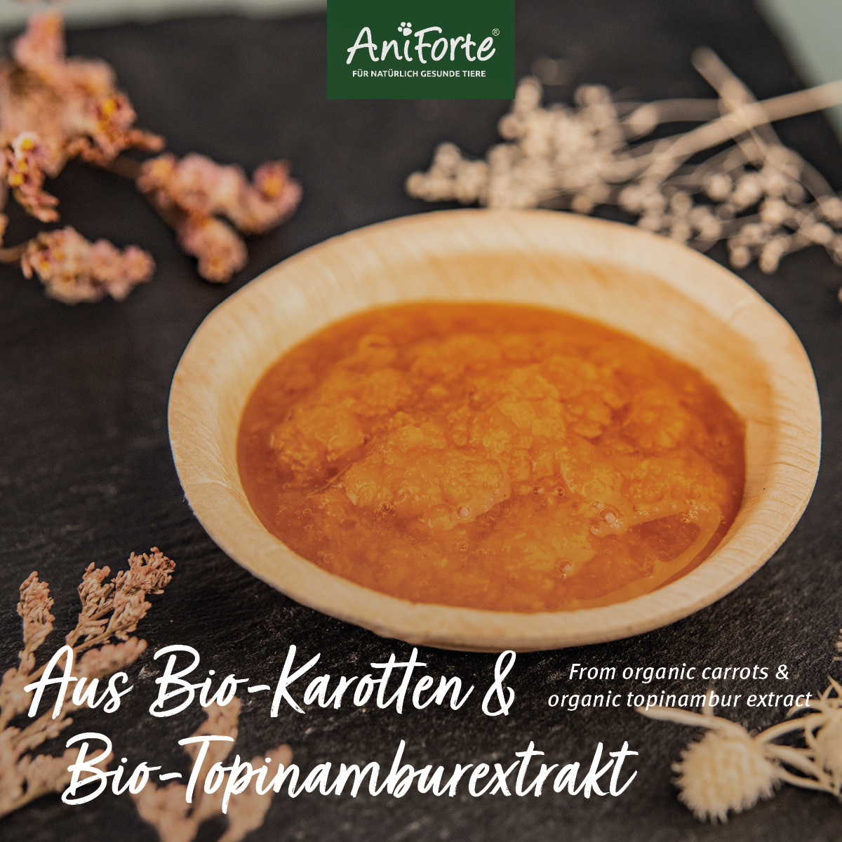 Aniforte Ergänzungsfutter & Aufzucht Aniforte Bio Morosan 6 x 100g