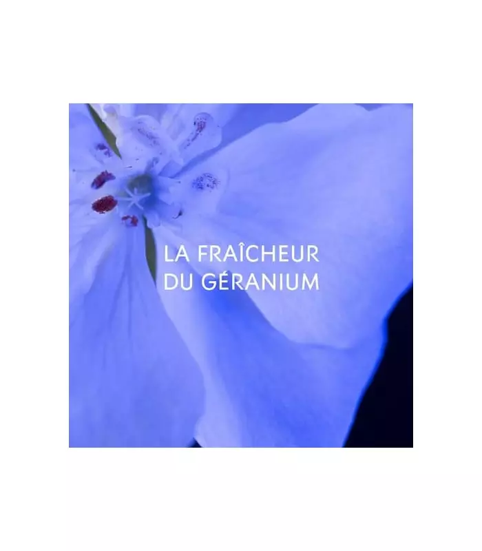 Y LE PARFUM Eau de Parfum