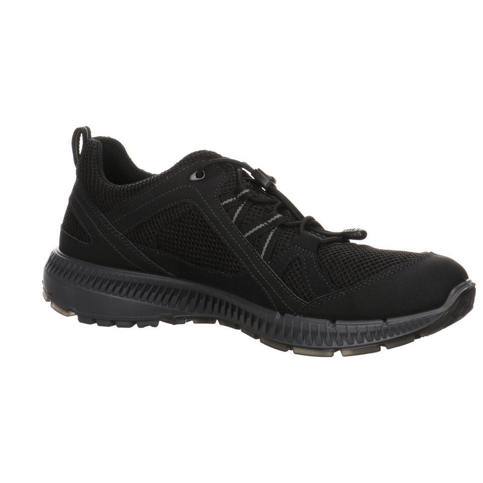 ECCO Terracruise GTX Outdoorschuh