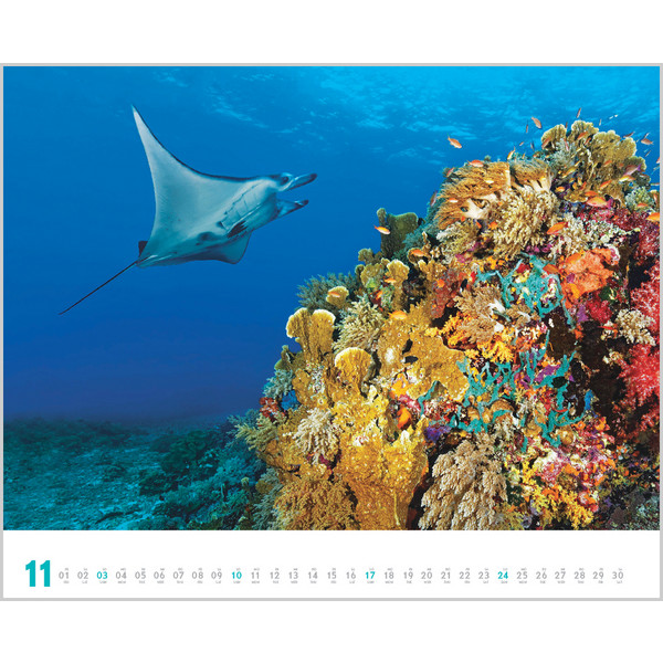 DIVE 2024 - Kalender