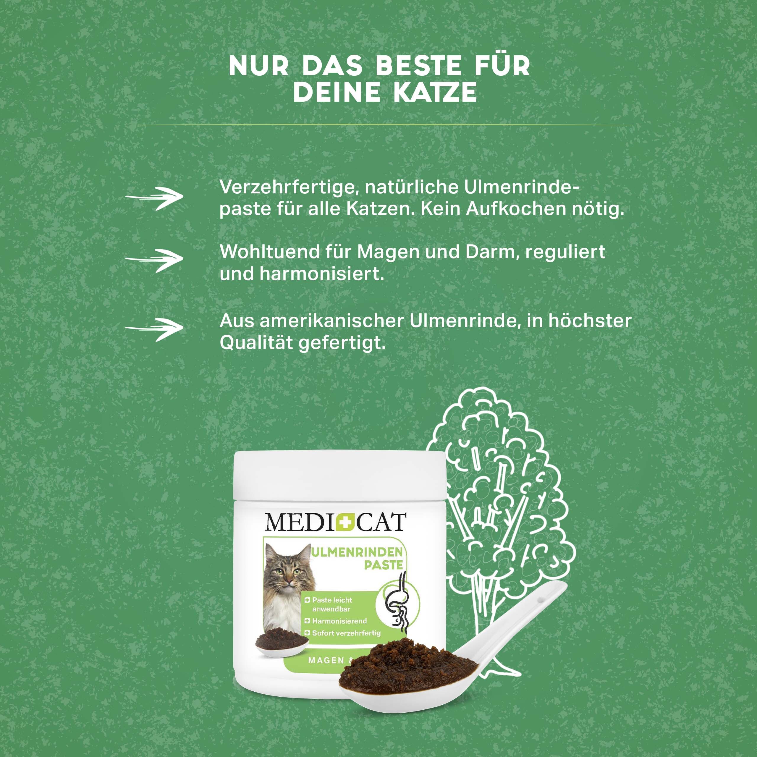 MediCat Ergänzungsfutter & Aufzucht MediCat Ulmenrinde Paste