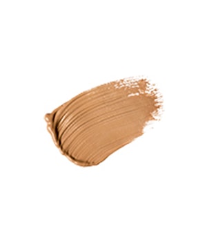 Absolute New York Radiant Cover Concealer-8 ml