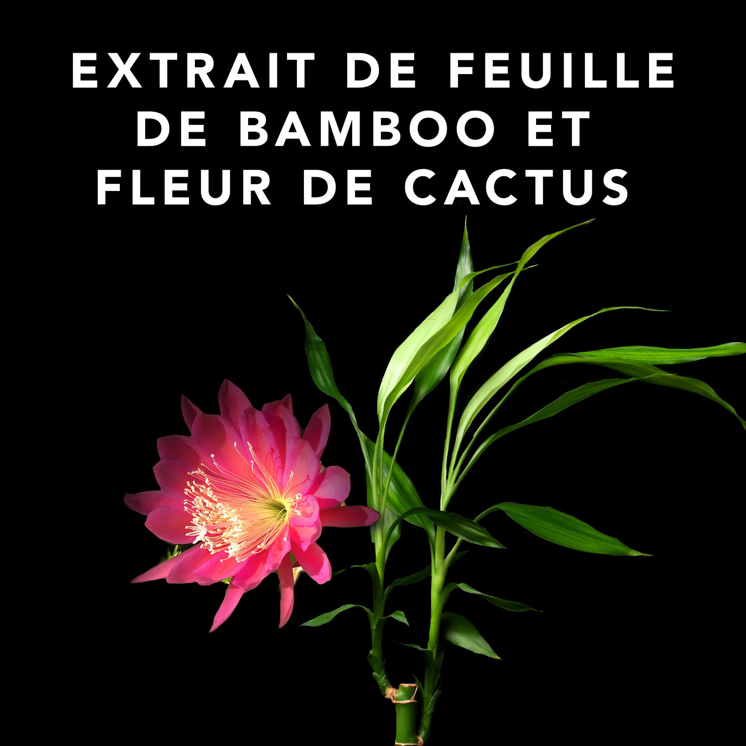 Sebastian Volupt Spray Spray Volume pour tous types de cheveux