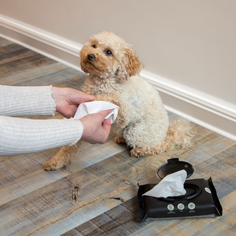 kooa Care Wipes zu TOP-Preisen