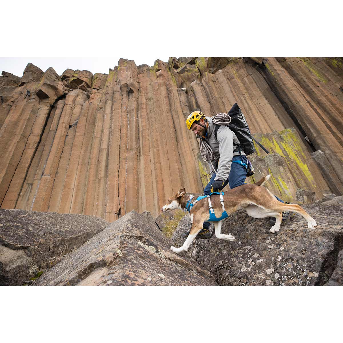 Ruffwear Geschirr Flagline Blue Dusk günstig kaufen bei ZooRoyal
