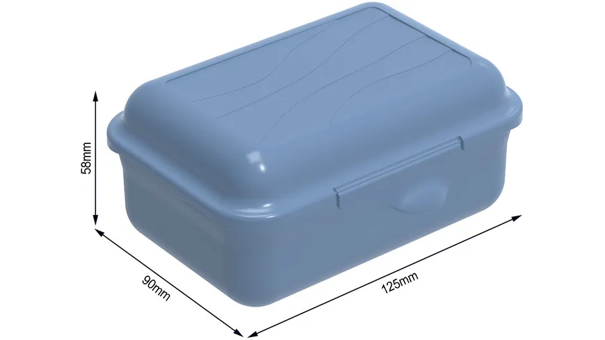 rotho Brotdose Funbox 0,4l horizon blue