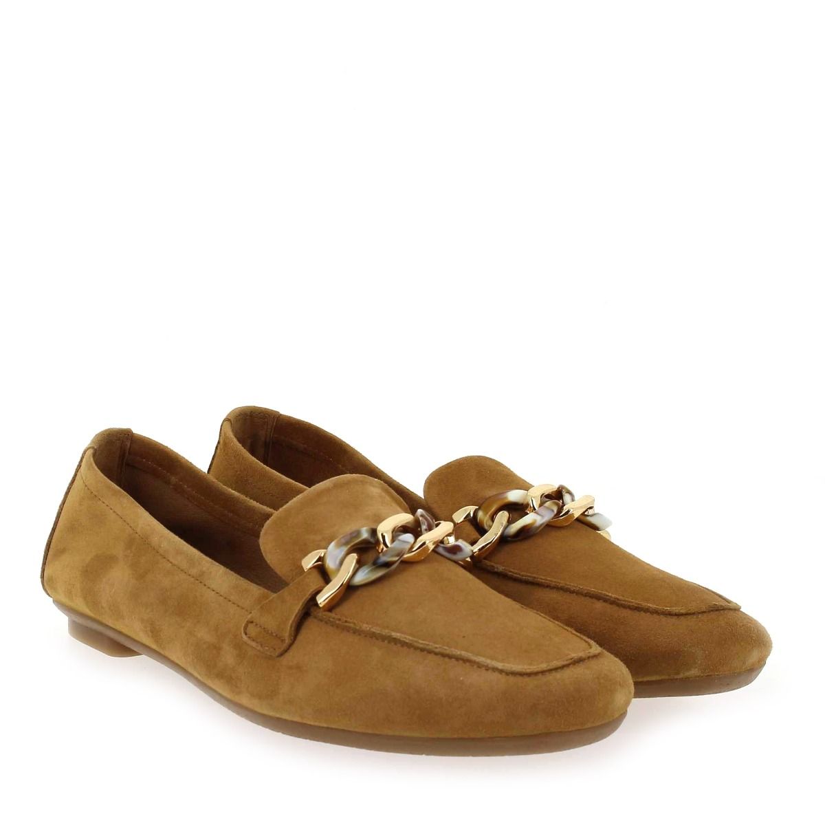 Reqins  HOREL - Camel