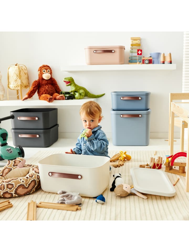 Rotho Aufbewahrungsbox 12 l MALOJA günstig kaufen onesize