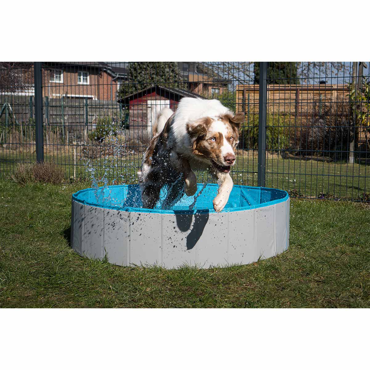 ZooRoyal Hundepool günstig kaufen