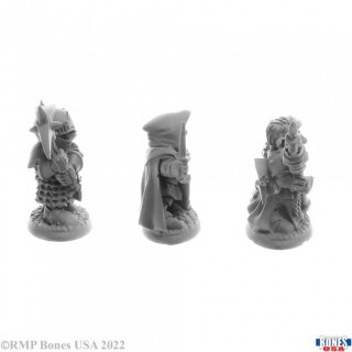 Deep Gnome Adventurers (3)