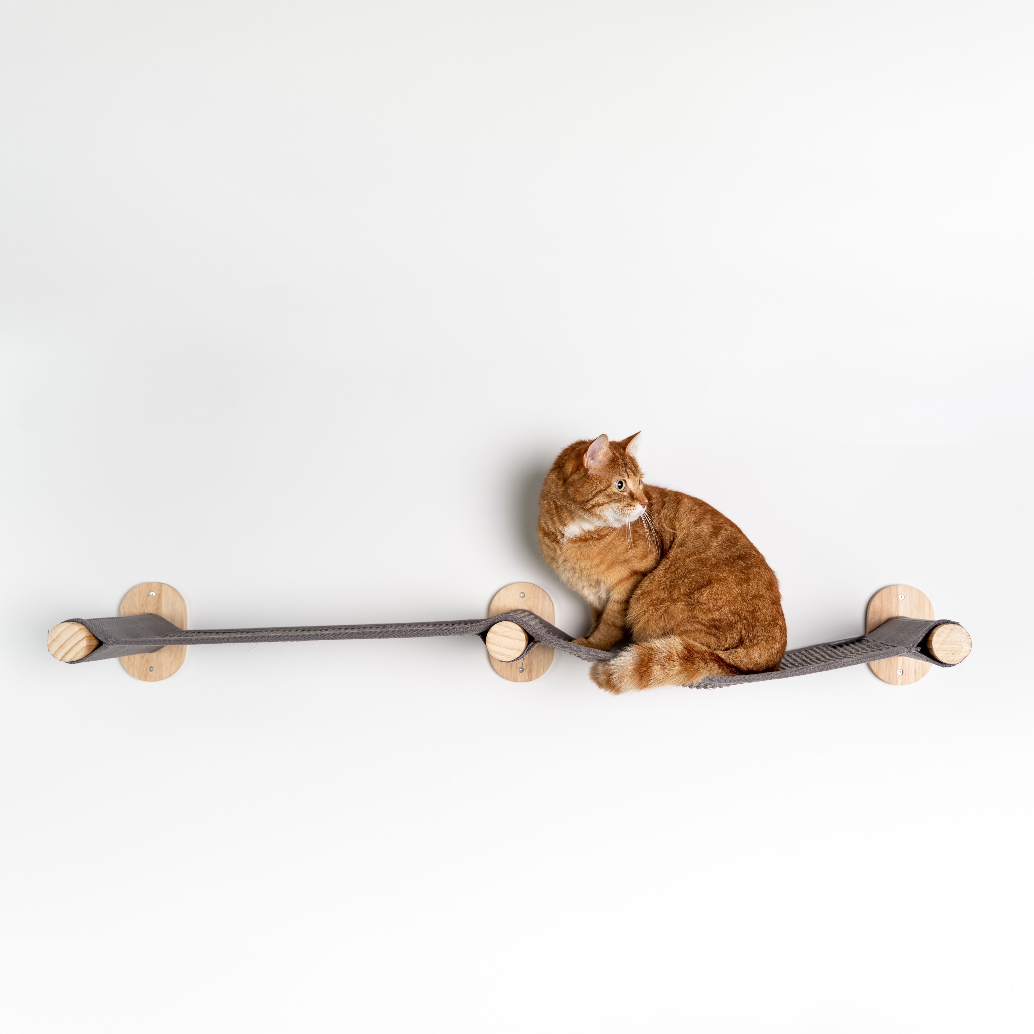 RHR Quality weiteres Katzenspielzeug RHR Quality RHRWandmöbel Mauerbrücke Katze anthrazit